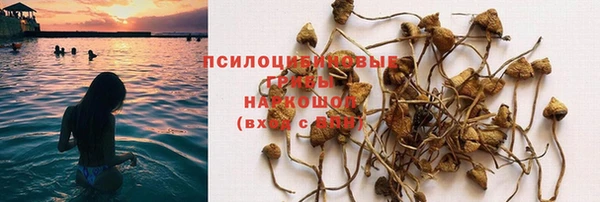 COCAINE Белоозёрский