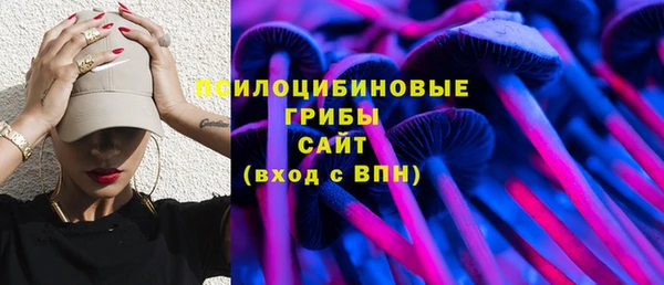 МДПВ Белокуриха
