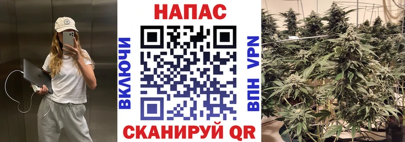 Марихуана конопля  это Telegram  Староминская 